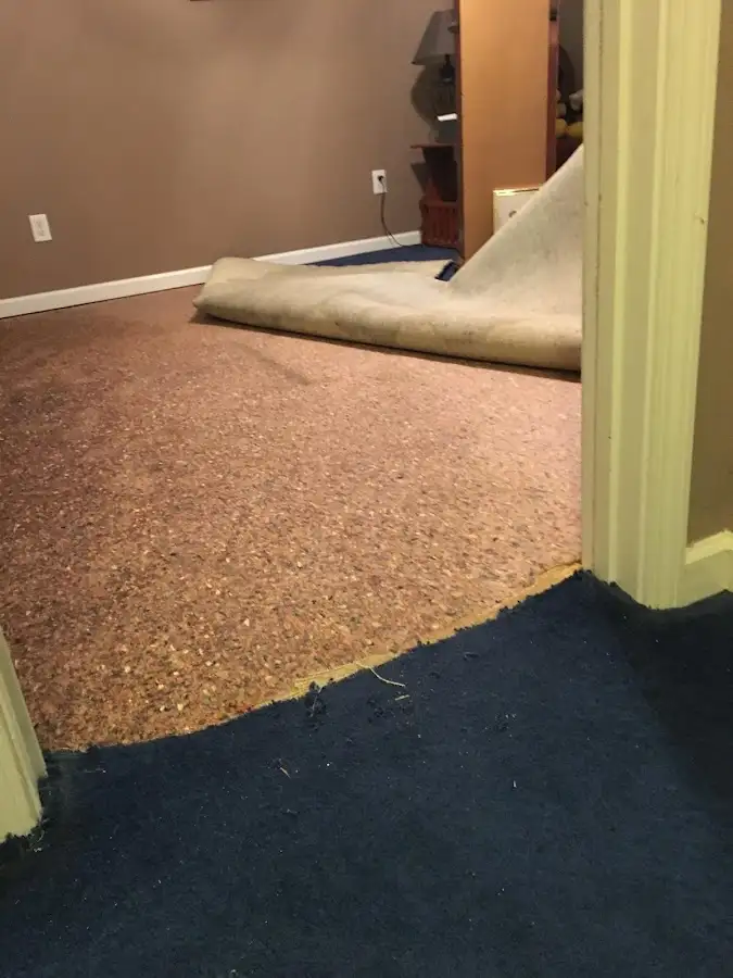 Carpet pad removal revealing water damage during Water Mitigation Services in Coal City